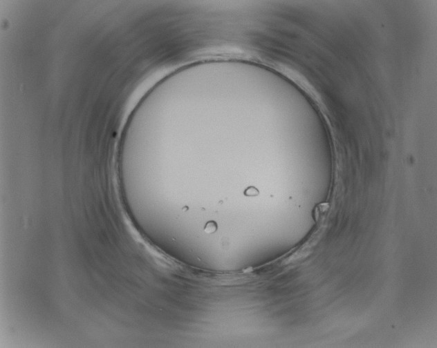 X0000076221440200610191521