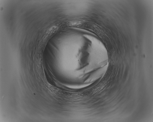 X0000076221441200610191521