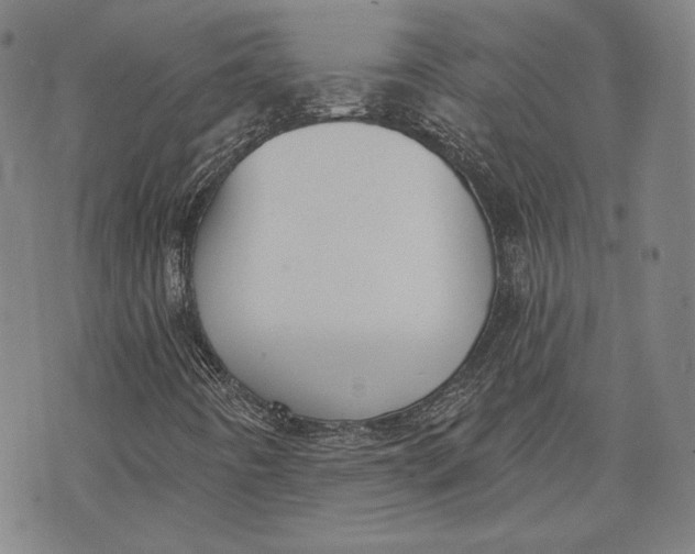 X0000076221442200610191521