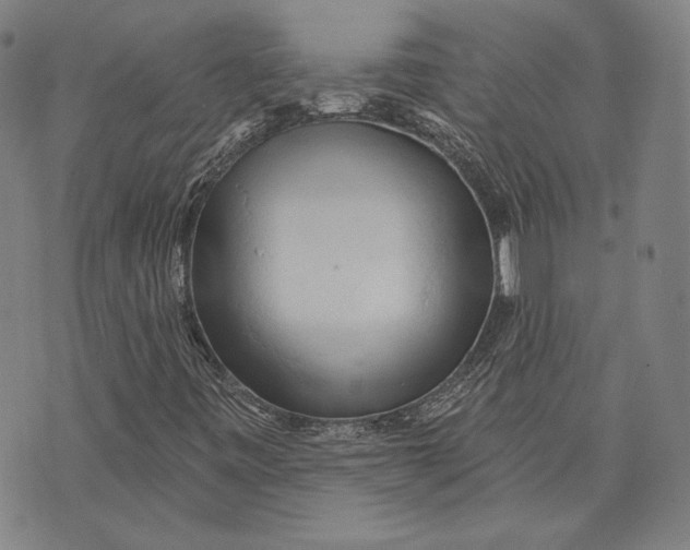 X0000076221443200610191521