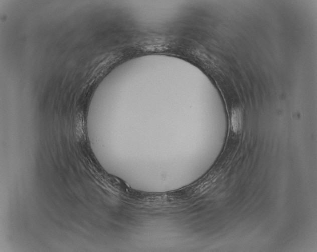 X0000076221444200610191521