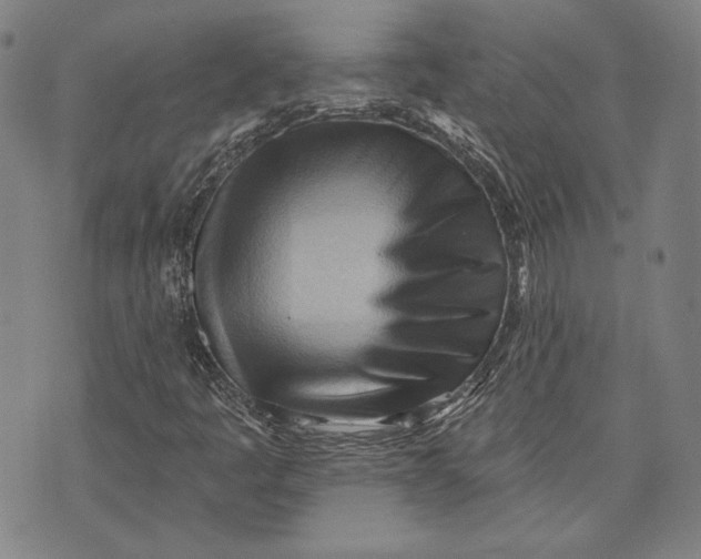 X0000076221445200610191521