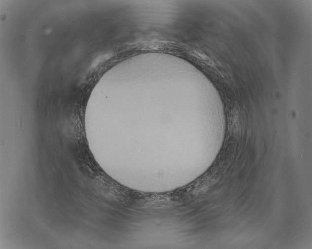 X0000076221446200610191521