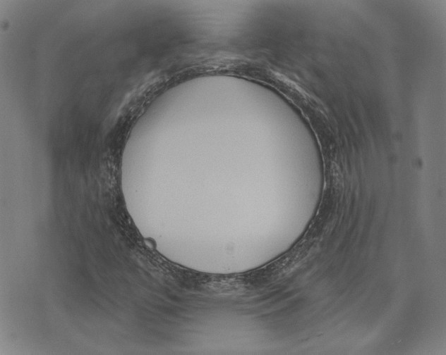 X0000076221447200610191521