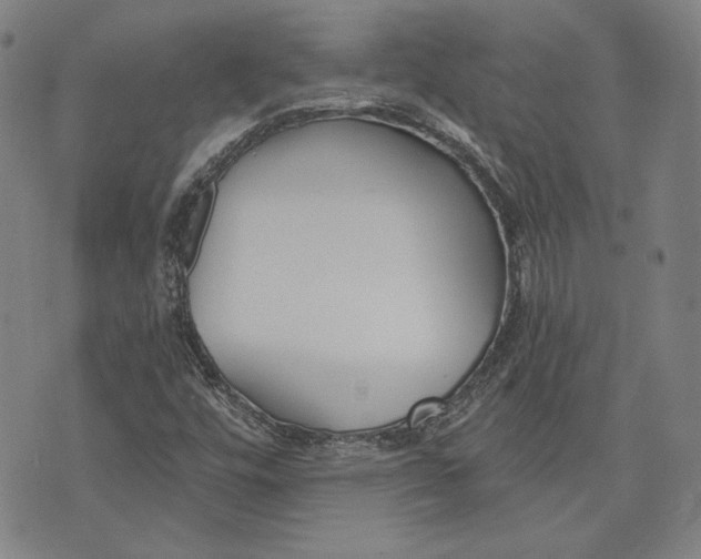 X0000076221448200610191521