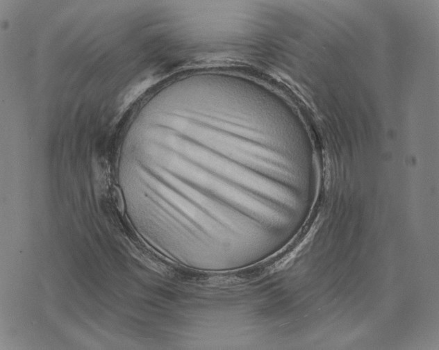 X0000076221449200610191521