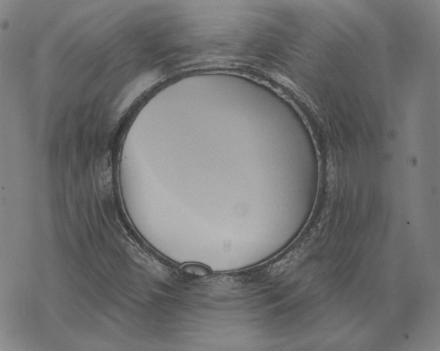 X0000076221450200610191521