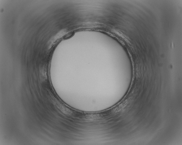 X0000076221451200610191520