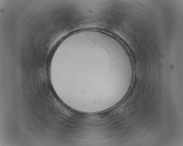 X0000076221452200610191520