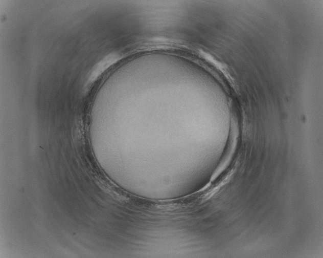 X0000076221453200610191520