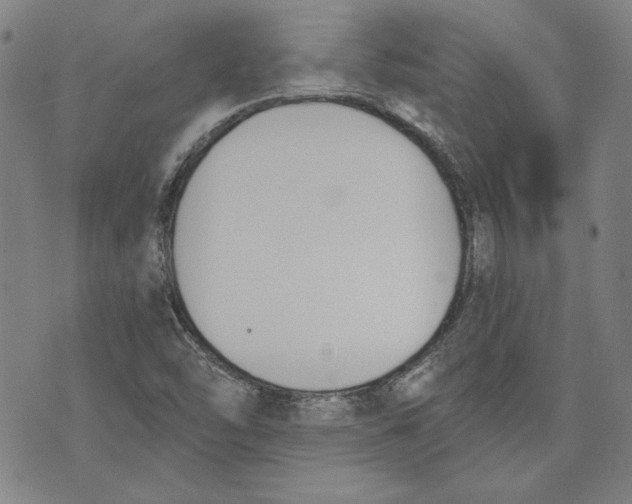 X0000076221454200610191520