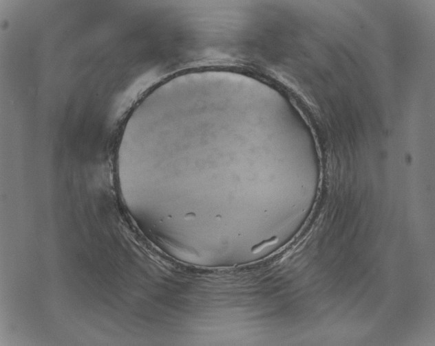 X0000076221455200610191520