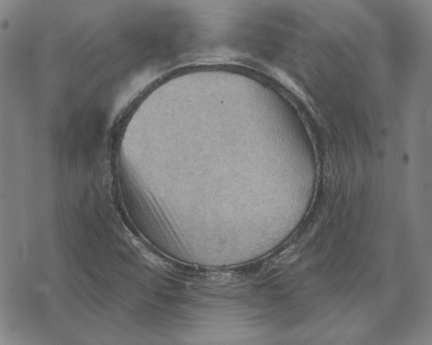 X0000076221456200610191520