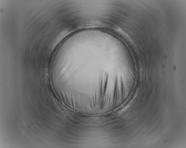 X0000076221457200610191520