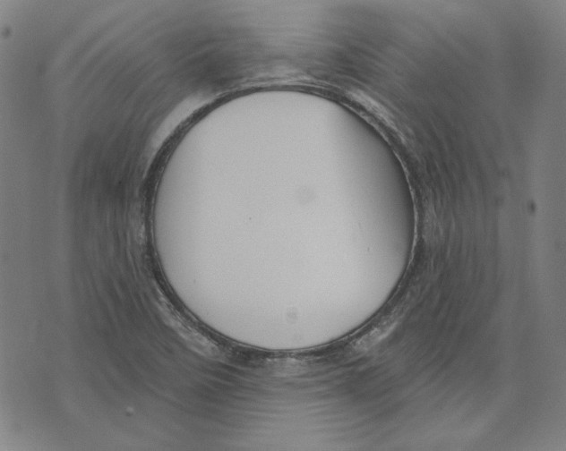 X0000076221458200610191520