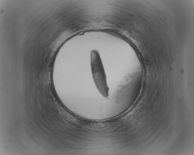 X0000076221459200610191520