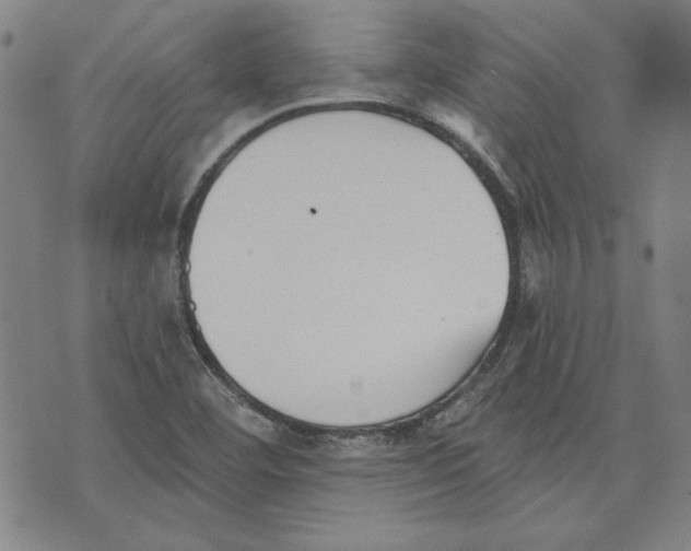 X0000076221460200610191520