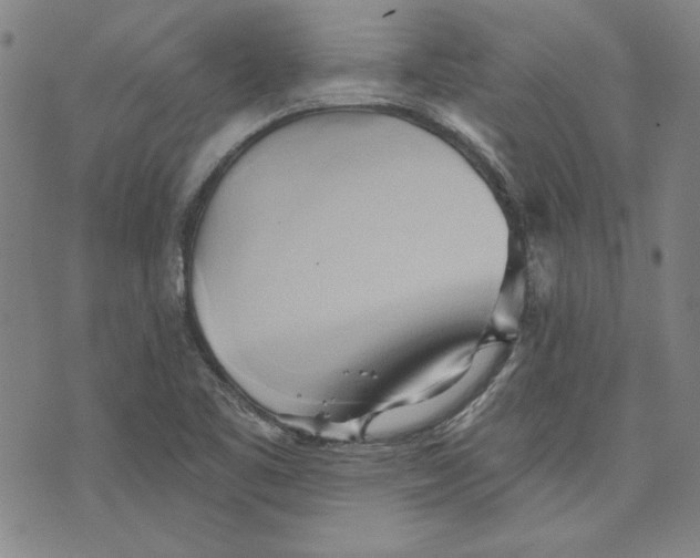 X0000076221461200610191520