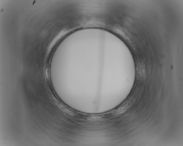 X0000076221462200610191520