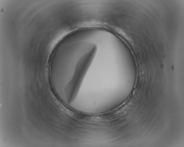 X0000076221463200610191520