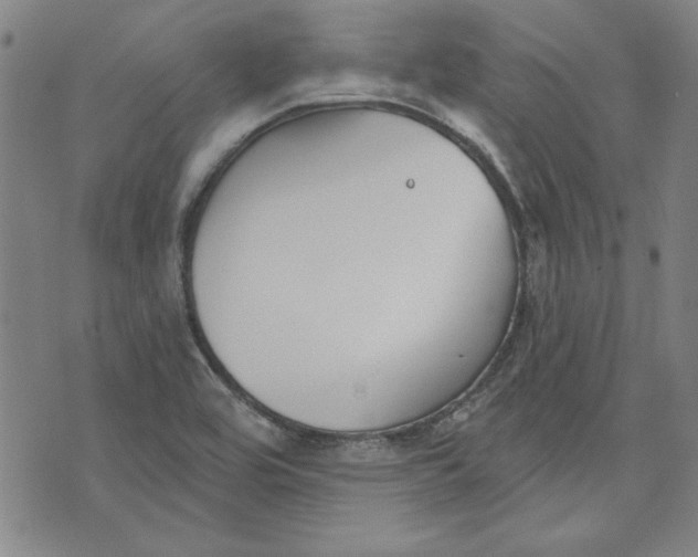 X0000076221464200610191520