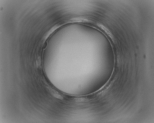 X0000076221465200610191520