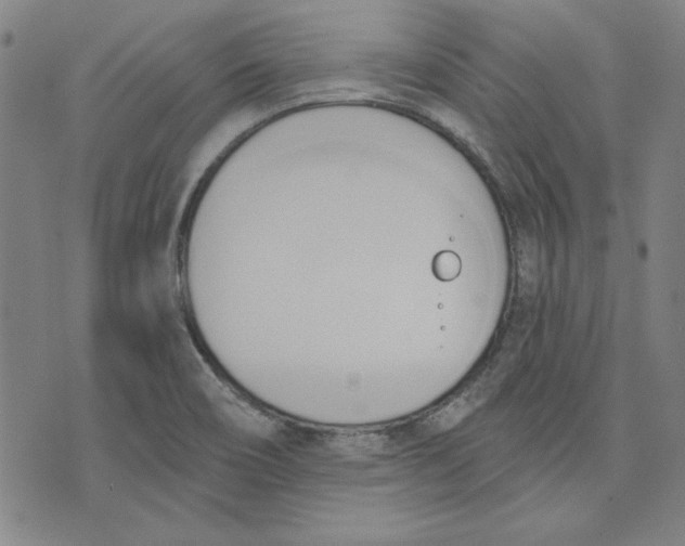 X0000076221466200610191520