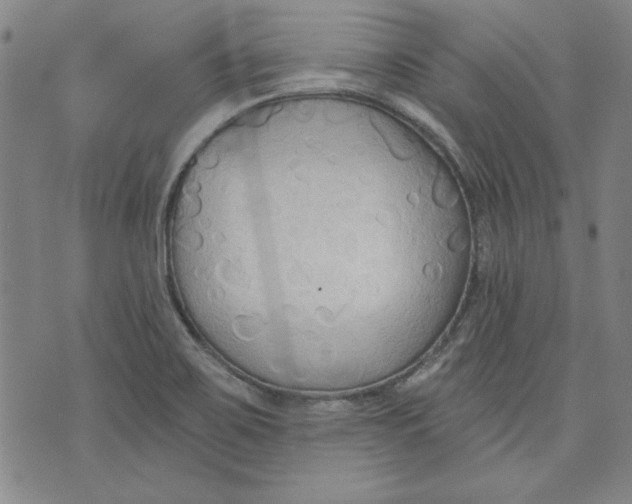 X0000076221467200610191520