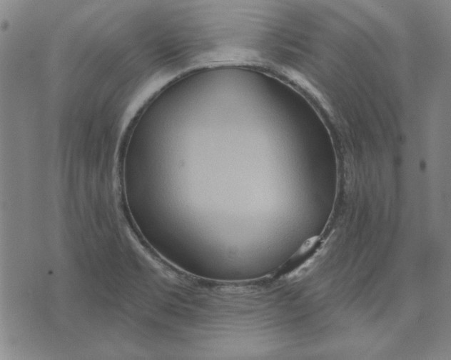 X0000076221469200610191520