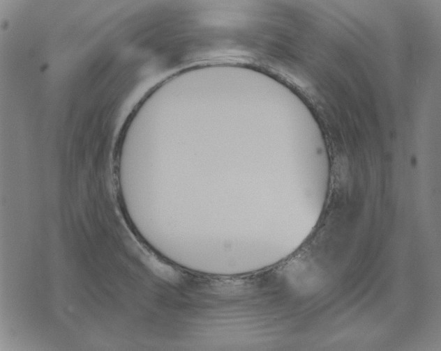 X0000076221470200610191520