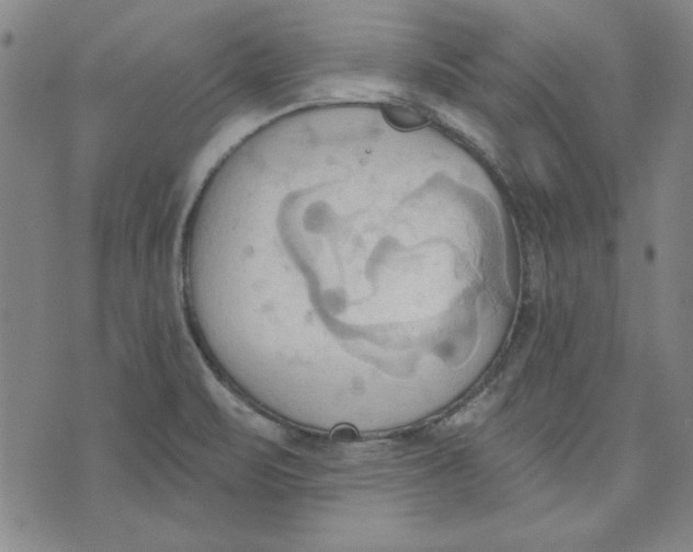 X0000076221471200610191520