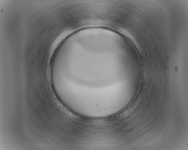 X0000076221472200610191520