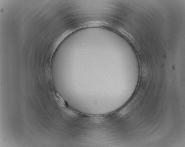 X0000076221473200610191520