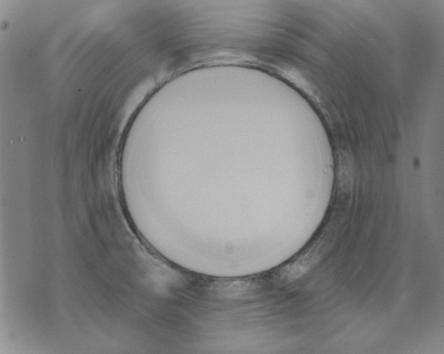 X0000076221474200610191520