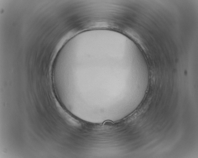 X0000076221475200610191520