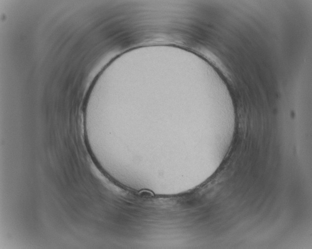 X0000076221476200610191520