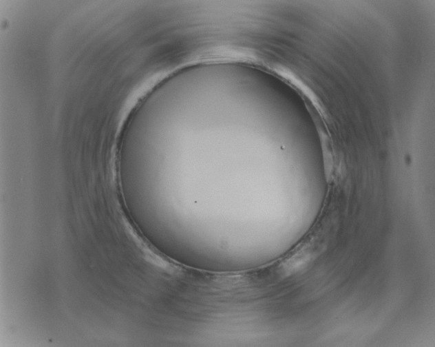 X0000076221477200610191520