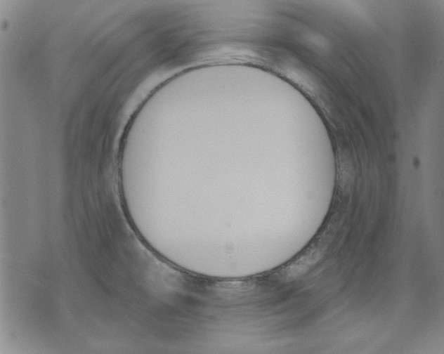 X0000076221478200610191520