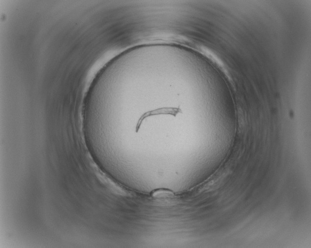 X0000076221480200610191520