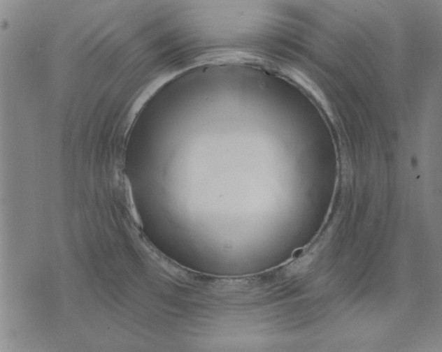 X0000076221481200610191520