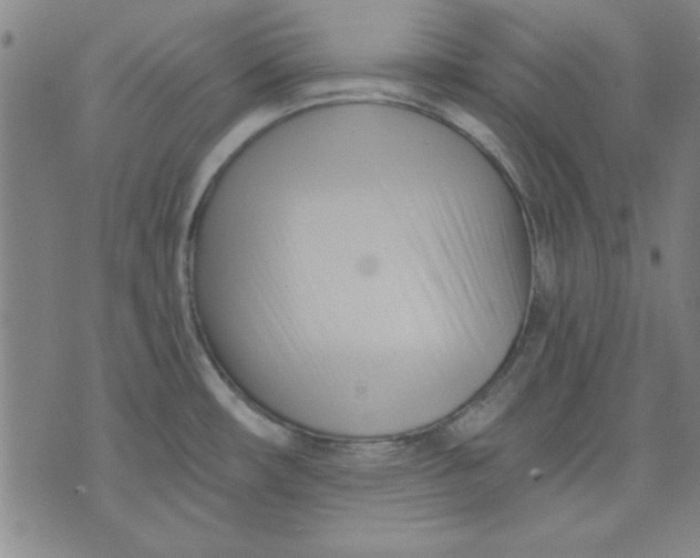 X0000076221482200610191520