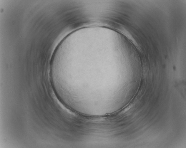 X0000076221484200610191520