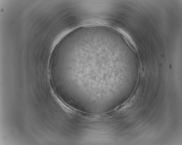 X0000076221485200610191520