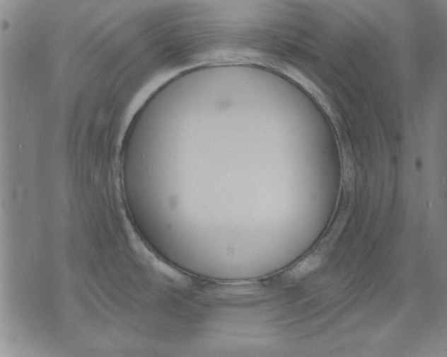 X0000076221486200610191520