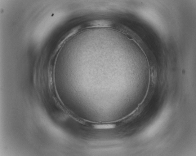 X0000076221487200610191520