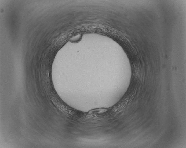 X0000076221489200610191519