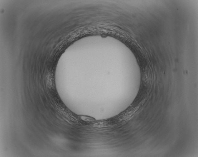 X0000076221490200610191519