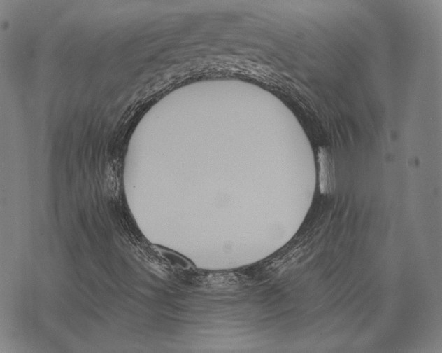 X0000076221491200610191519