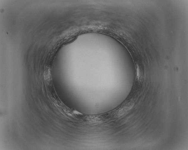 X0000076221492200610191519