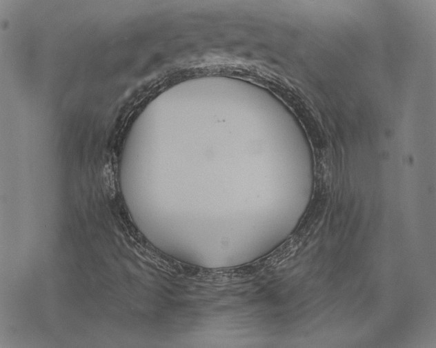 X0000076221493200610191519